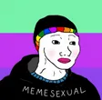 Attracted To Memes Wallet