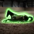 FART HORSE Wallet