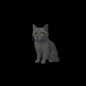 mitto token on Solana