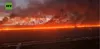 Save the Everglades