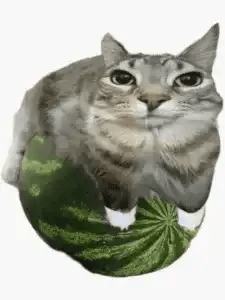 meloncat