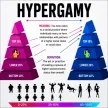 Hypergamy-Wallet