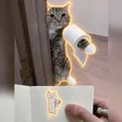 catwifpaper Wallet