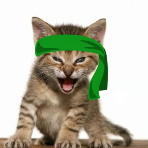 Green Kitten Crew 钱包