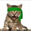 Green Kitten Crew Wallet