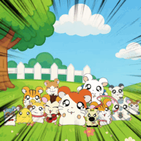 HAMTARO