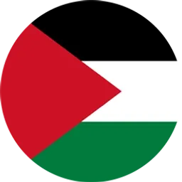 PALESTINEi token on Solana