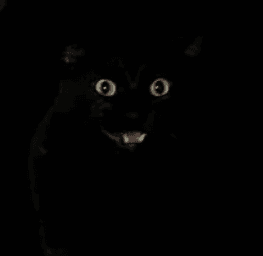 VOID