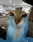 Portafoglio Crying Cat