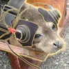 SpaceX Seal