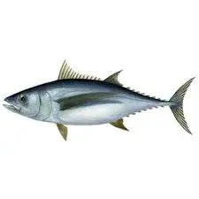 TUNA