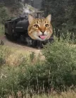 محفظة traincat
