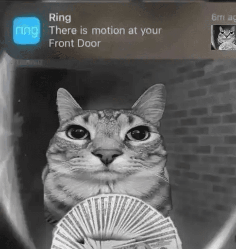 MOtionCat token on Solana