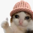 ok wif hat Wallet