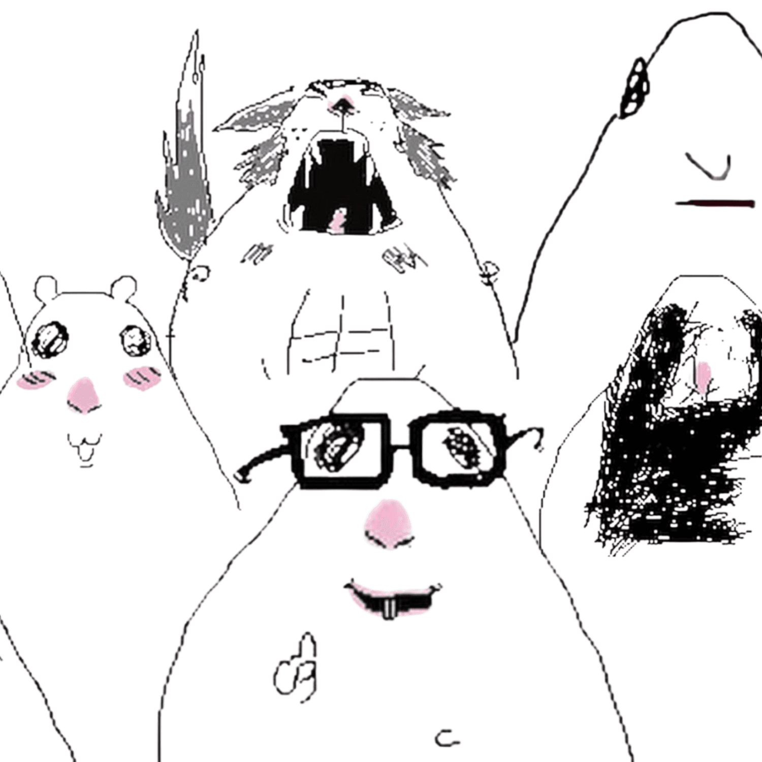 HAMS
