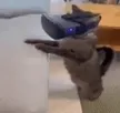 VR GOON CAT Wallet
