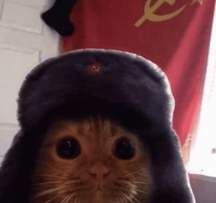 КОТ