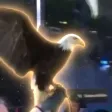 Monedero de The Whitehouse Eagle