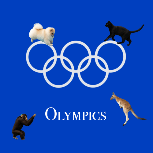 OLYMPICS