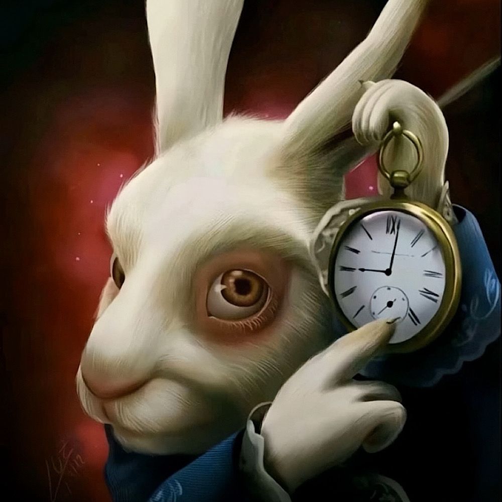 RABBIT