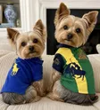World Cup Dog 钱包