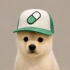 Pupfun
