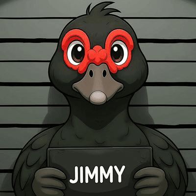 JIMMY