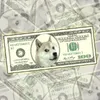 DogeUSD