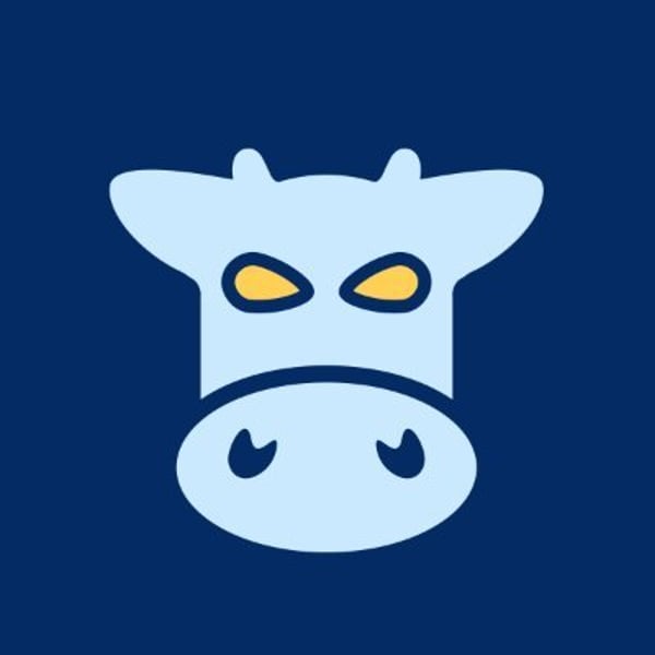 COWSWAPP token on Solana