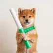 Baton Wallet