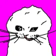 Perchi 钱包