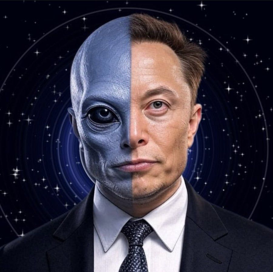 Alien Elon Musk 钱包