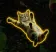 滑る猫