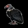 BLACKCONDOR