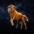 MORT 钱包
