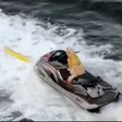 JETSKI DOG Wallet