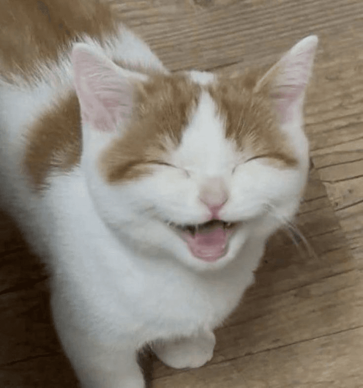 KEKE