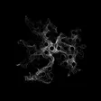 entropy protocol Wallet