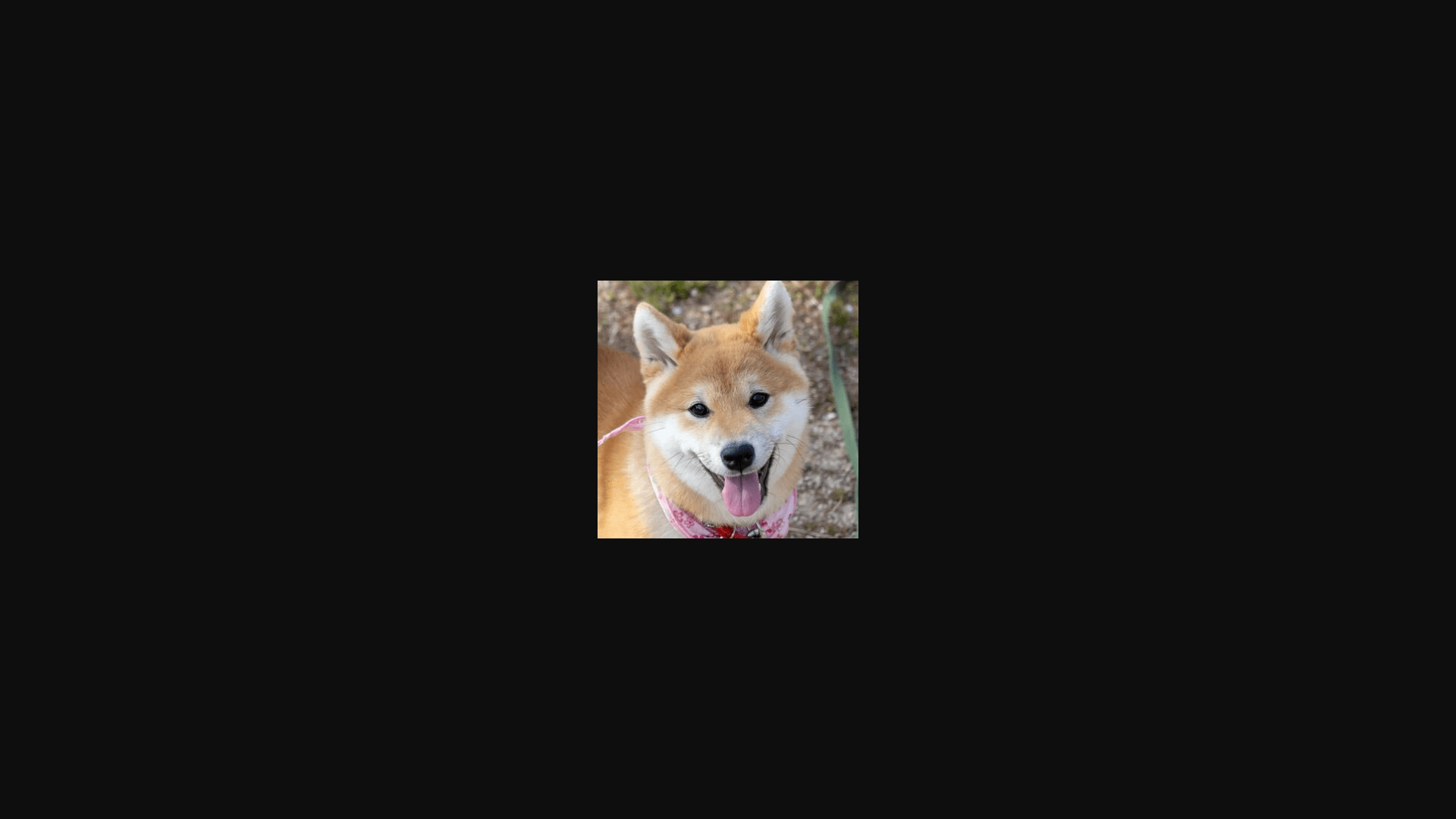 KOMECHAN