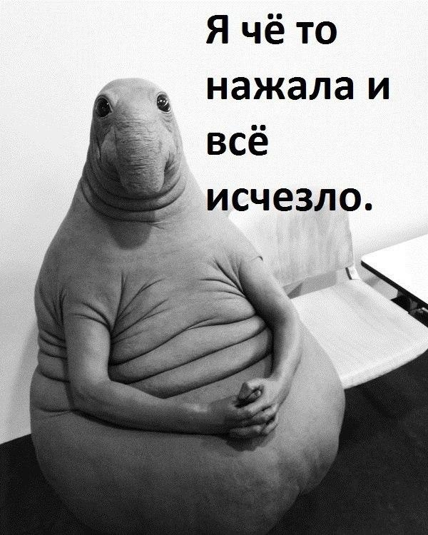 ZHDUN