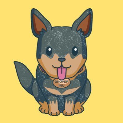 DROVERINU token on Solana