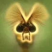 Google Mosquitoesウォレット