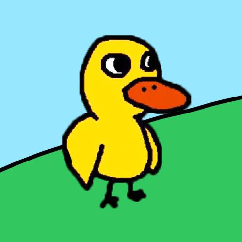 DUCK