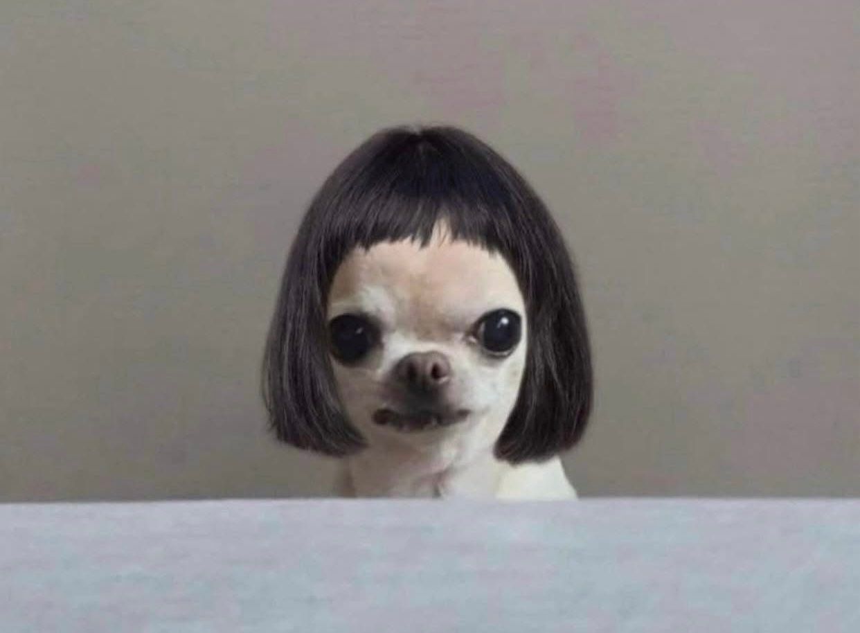 WIG