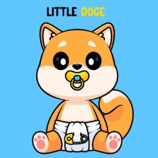 LILDOGE token on Solana
