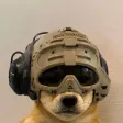dog in helmet Wallet