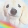 The Blissful Dog
