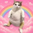 Chubby Vietnam Cat Wallet