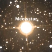 MEOWSTAR