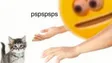 PspspspsPspspspsPspspsps Wallet